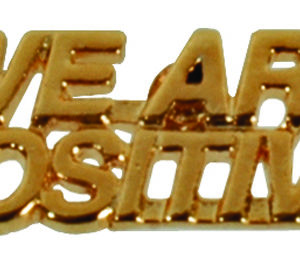 We Are Positive Pins
