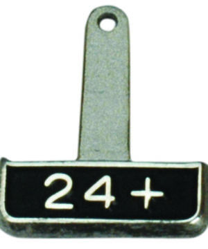 President's Tabs Level 1 (Silver)