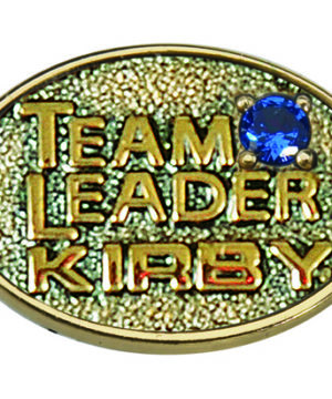 Team Leader Pin